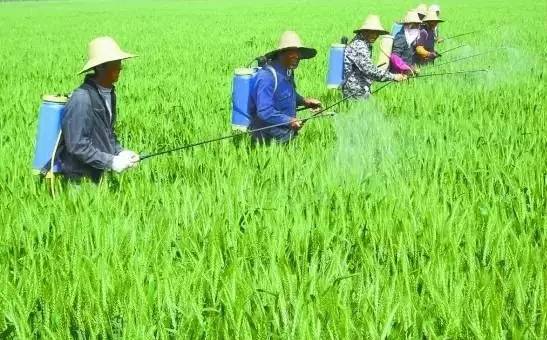 太陽能殺蟲燈哪家好？不能只圖價格便宜，否則得不償失