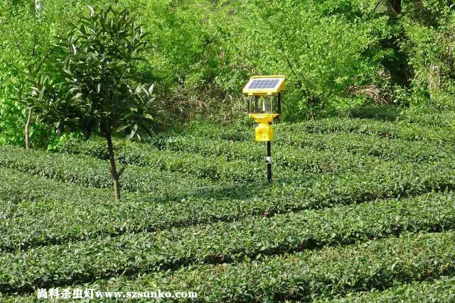 大品牌太陽(yáng)能殺蟲燈廠家產(chǎn)品質(zhì)量有保障