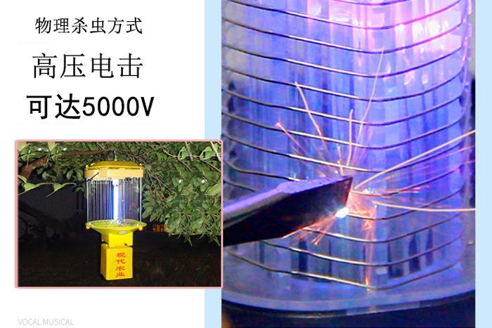 高壓殺蟲燈什么價格，讓尚科告訴你