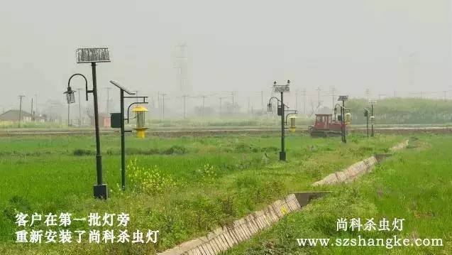 太陽(yáng)能殺蟲(chóng)燈哪家好？客戶用尚科殺蟲(chóng)燈圖