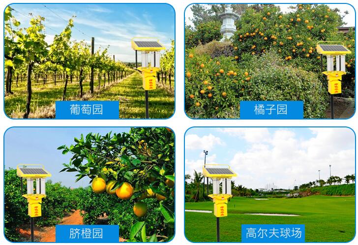 鋰電池小型太陽(yáng)能殺蟲燈效果展示