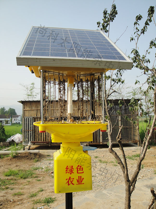 家禽養(yǎng)殖場使用太陽能殺蟲燈案例