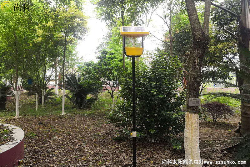 廣西南寧殺蟲(chóng)燈用于某園林式機(jī)關(guān)大院效果圖片