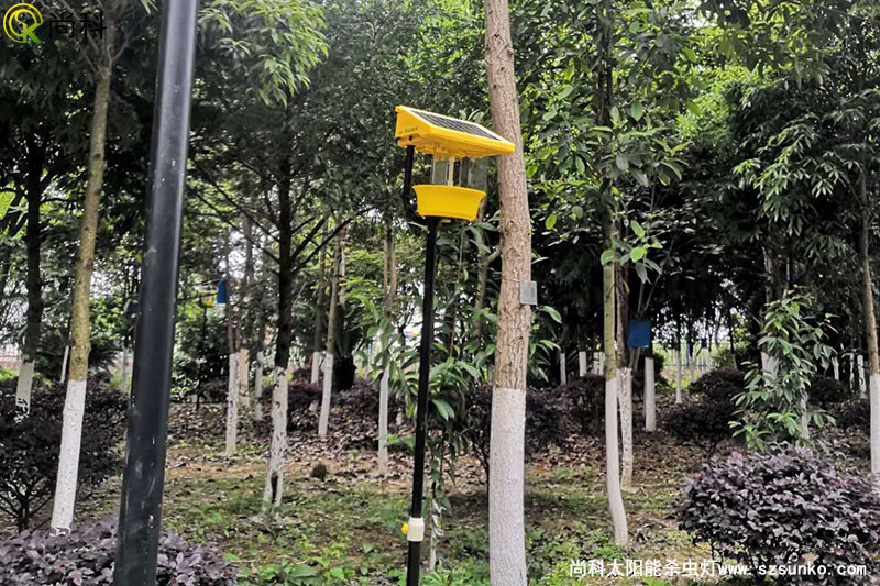廣西南寧殺蟲(chóng)燈用于某單位園林公園效果圖片