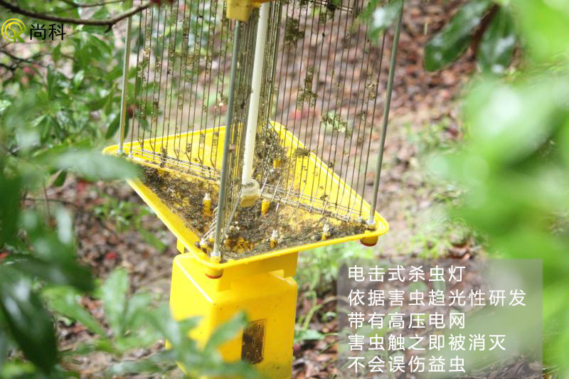 果園殺蟲燈哪種好？電擊式果園殺蟲燈效果好