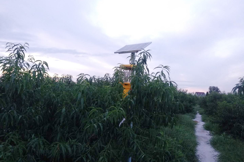 黑光燈多少錢？確定好黑光燈種類，不要買錯了