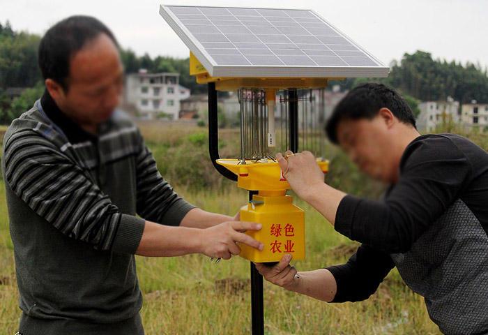 專業(yè)昆蟲殺蟲燈怎么樣？殺蟲燈的選擇及使用