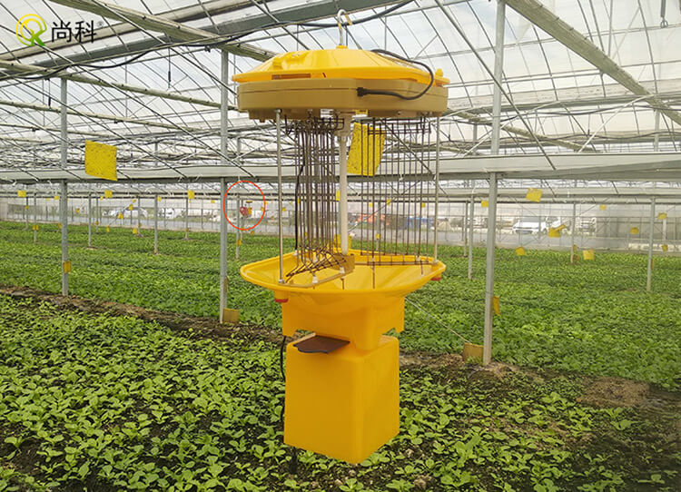 LED殺蟲燈的防護(hù)范圍？有效防護(hù)害蟲的范圍