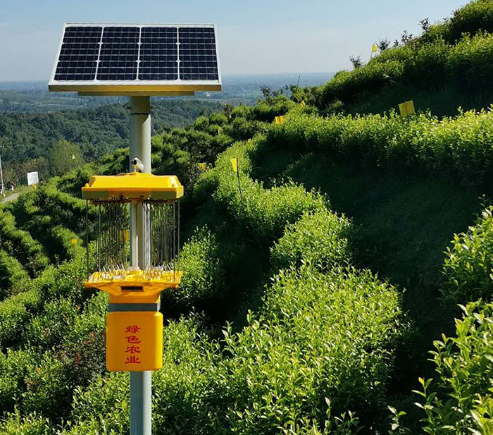 白天可誘蟲的殺蟲燈叫什么？白天使用的殺蟲燈