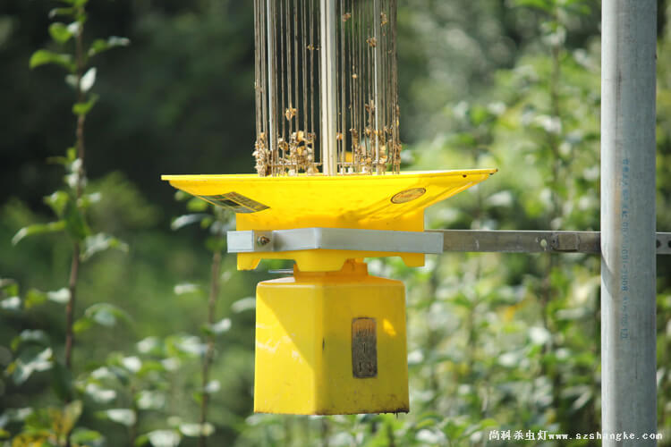 電擊式殺蟲(chóng)燈的選擇和使用方法