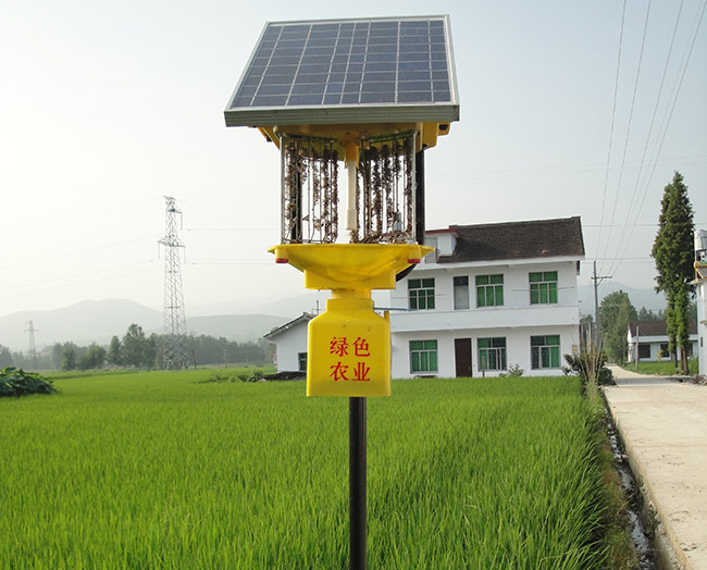 大陽(yáng)能殺蟲(chóng)燈如何有效殺死吸果夜蛾