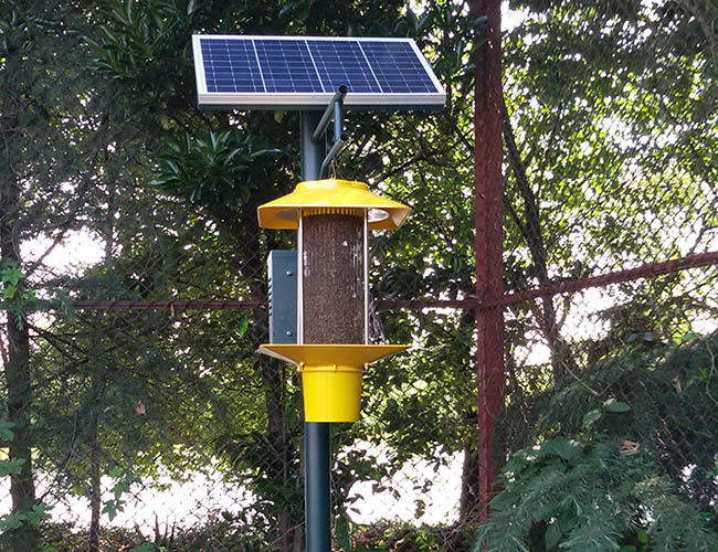 茶園殺蟲燈防治哪些害蟲？茶園燈光驅(qū)蟲的有效性