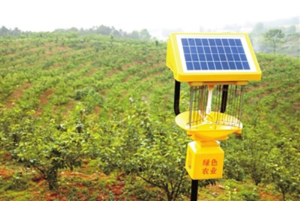 茶園殺蟲燈能殺什么蟲？？茶園殺蟲燈的有效性分析