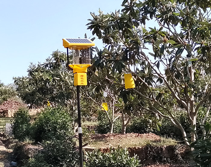 茶園殺蟲(chóng)燈能殺什么蟲(chóng)害