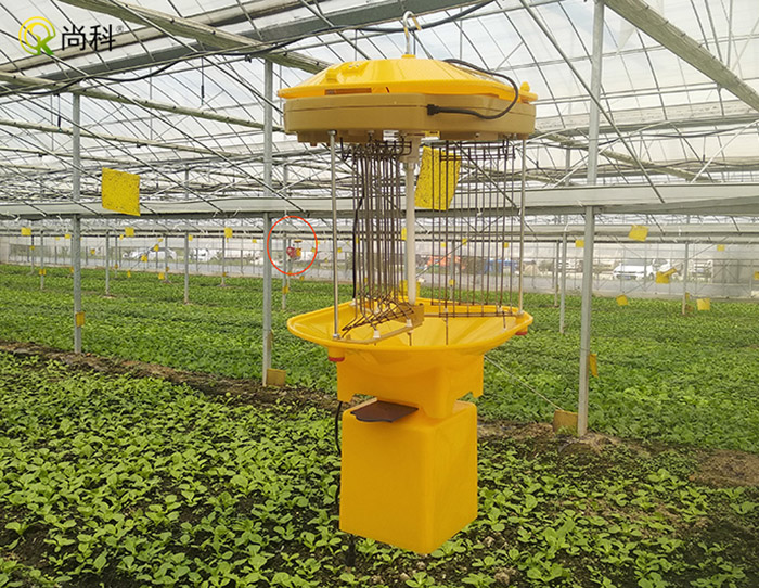 大棚內(nèi)用什么殺蟲(chóng)燈好，需要注意什么