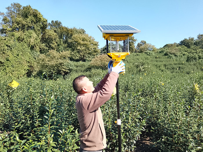 菜園殺蟲(chóng)燈的工作原理是什么，科普你不知道的殺蟲(chóng)神器