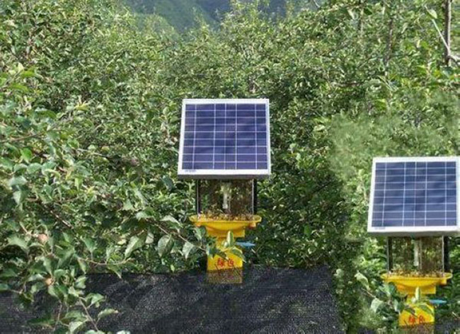 茶葉殺蟲(chóng)燈的工作原理是什么，介紹茶園守衛(wèi)者的奧秘