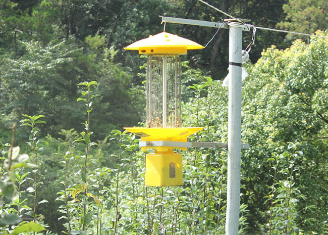 茶園滅蟲(chóng)燈的工作原理詳解，讓你徹底了解這項(xiàng)防蟲(chóng)技術(shù)