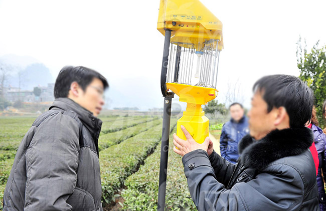 太陽能殺蟲燈燈具安裝攻略，注意事項大全，一定要看
