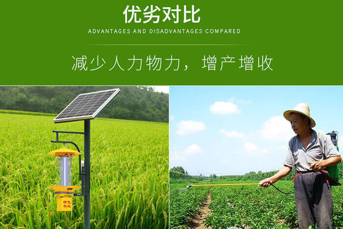 太陽能殺蟲燈多少畝一臺，節(jié)能環(huán)保的殺蟲燈應(yīng)用