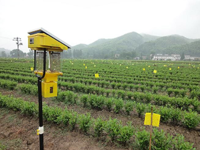 太陽能殺蟲燈分類及其特點，太陽能殺蟲燈的種類及應(yīng)用