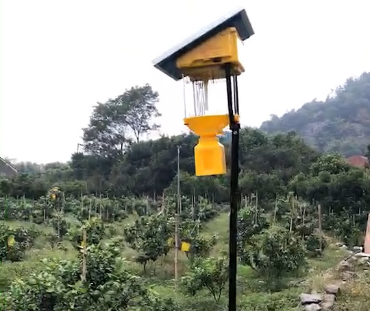 果園殺蟲燈每畝幾個(gè)，效果怎么樣