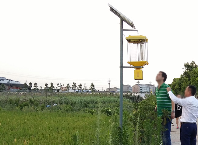 風(fēng)吸式太陽能殺蟲燈施工方案